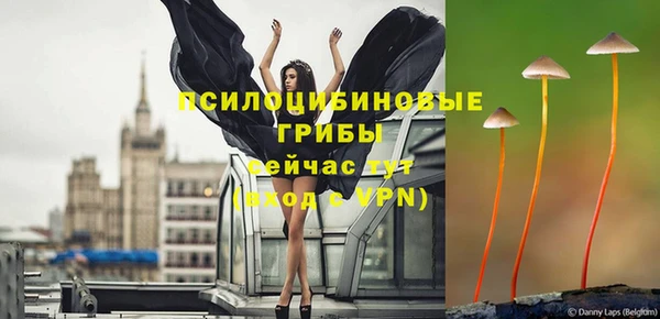 ECSTASY Новозыбков