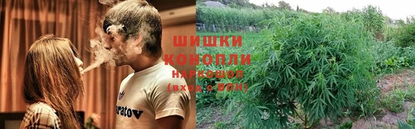 мдма Новодвинск