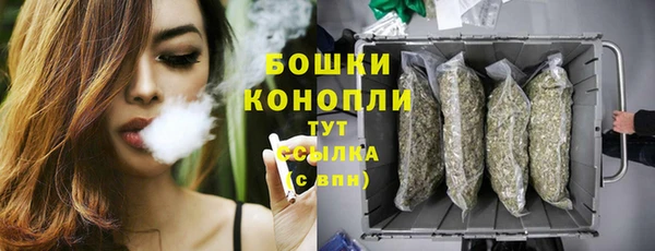 ECSTASY Новозыбков